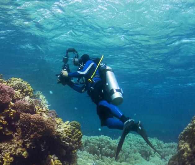 What Do Underwater Close-up Lenses Of Underwater Cameras Do?